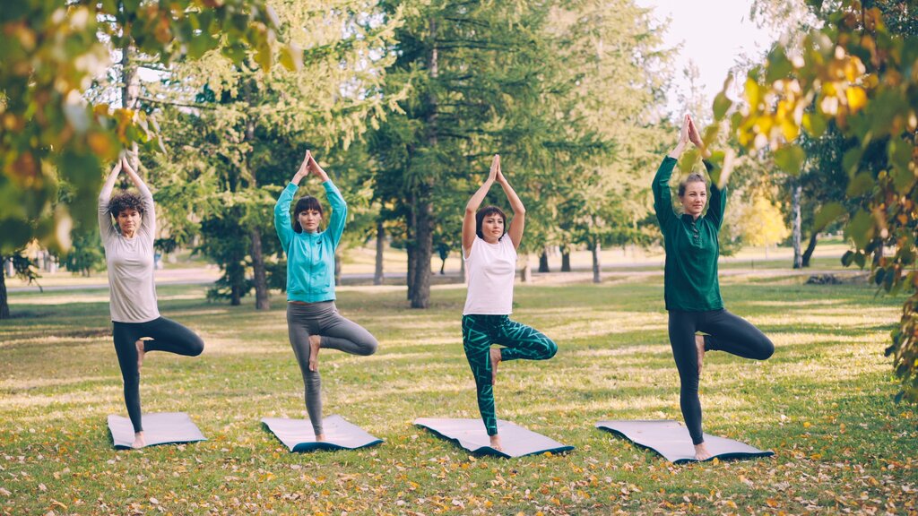 das Yoga