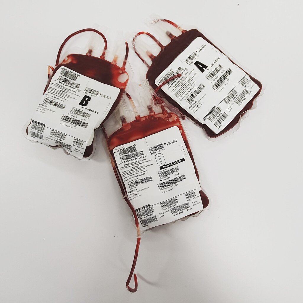 10) ¿Qué transporta la sangre que llega al hígado desde el intestino a través de la vena porta?