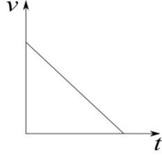 grafik c