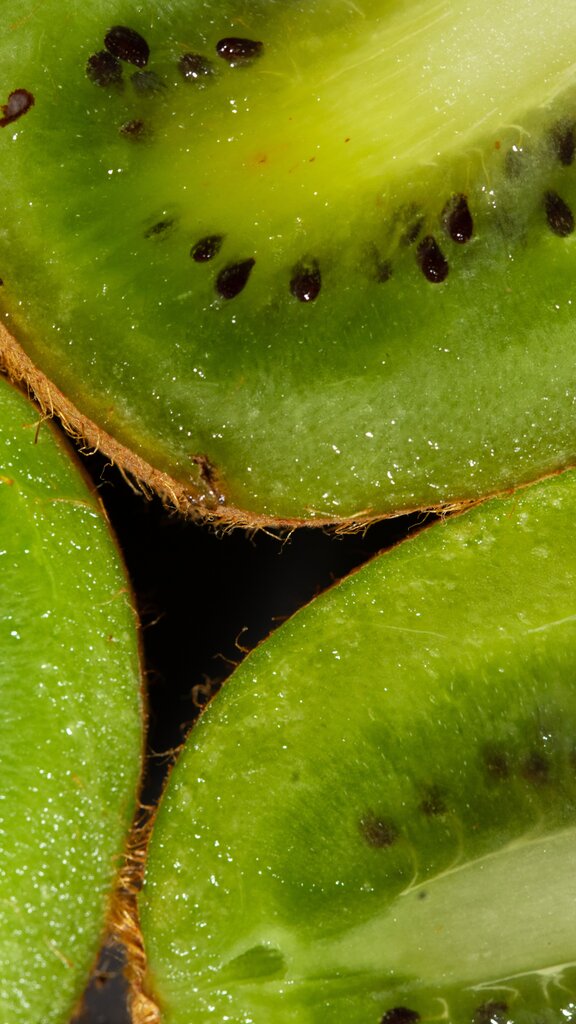 kiwi màu gì?