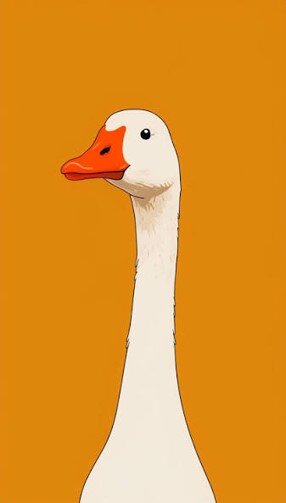 This is a 