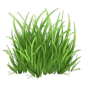 This is a 