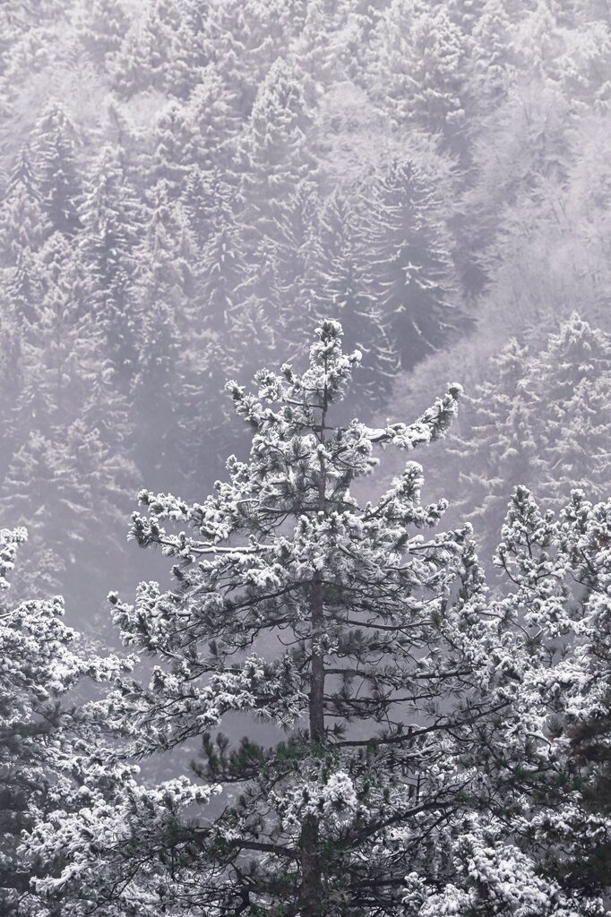 It is snowy, cold and dark