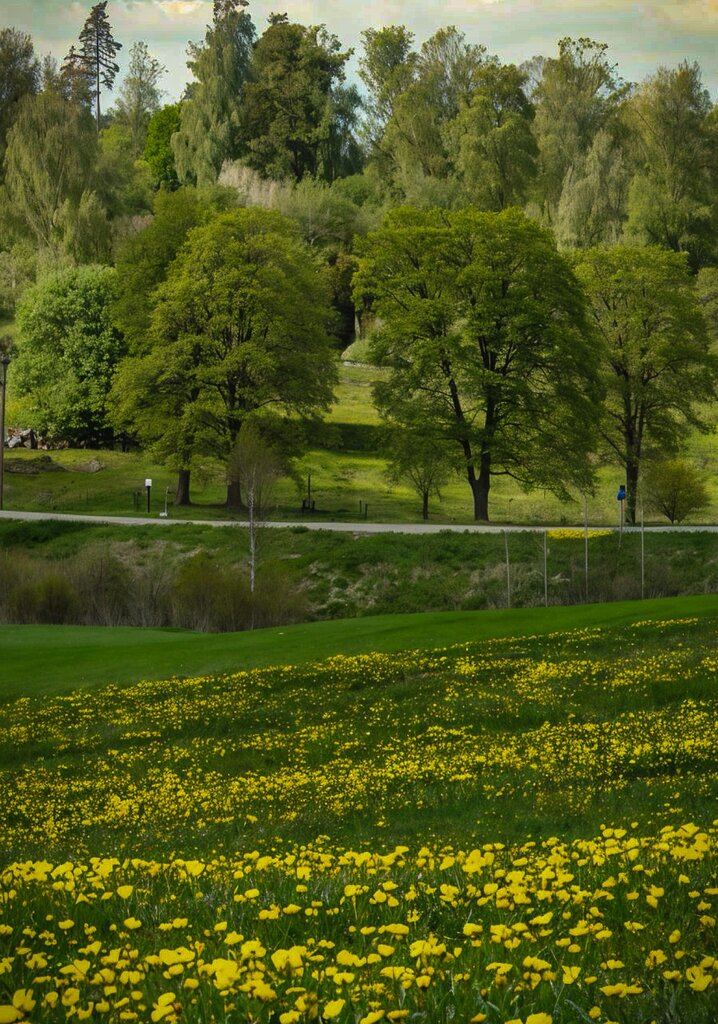 It is warm, green and rainy