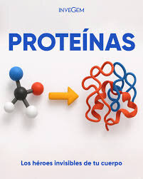 Fabricar proteínas