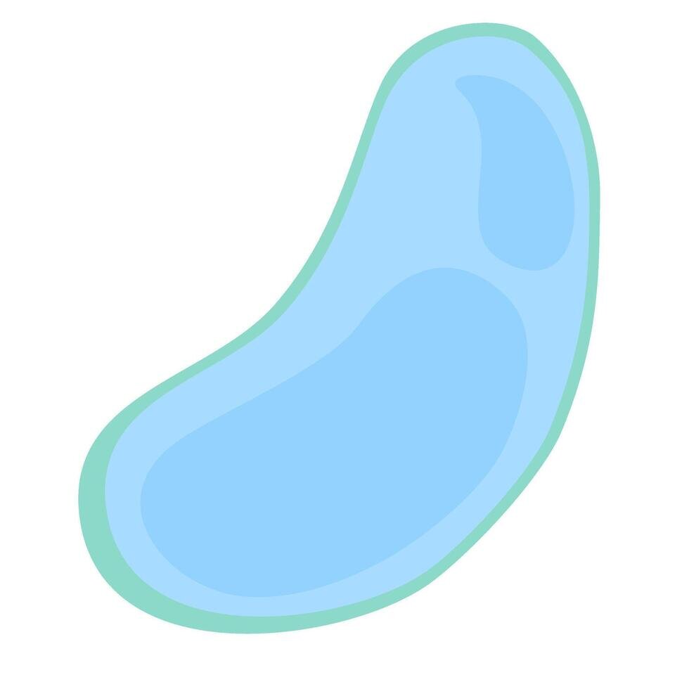 Vacuola