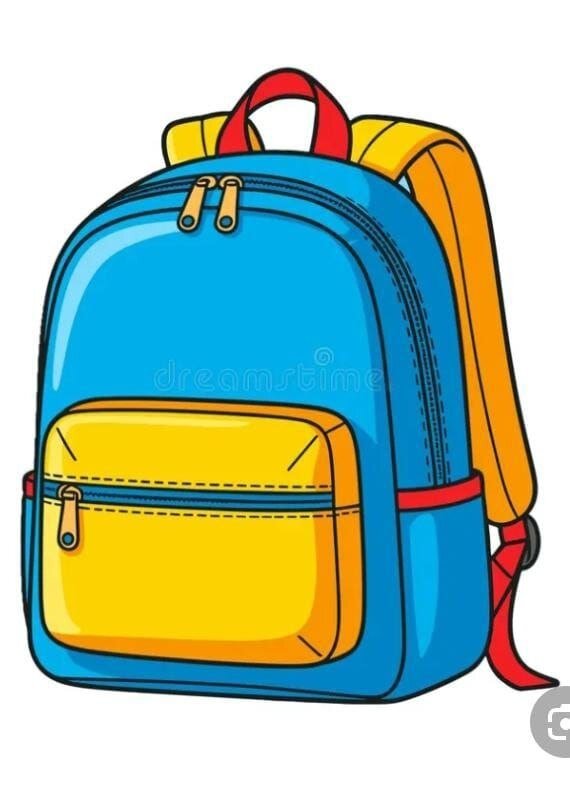 The bag is ...