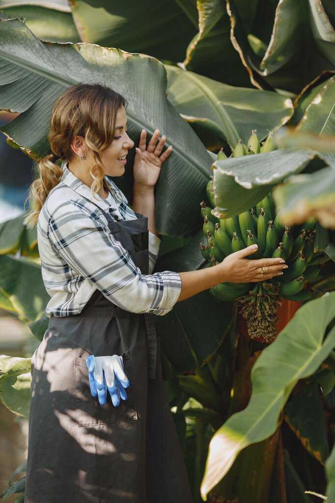 Una agricultora cultiva y recoge plátanos para venderlos. ¿ Qué proceso de la actividad económica está realizando principalmente?  
