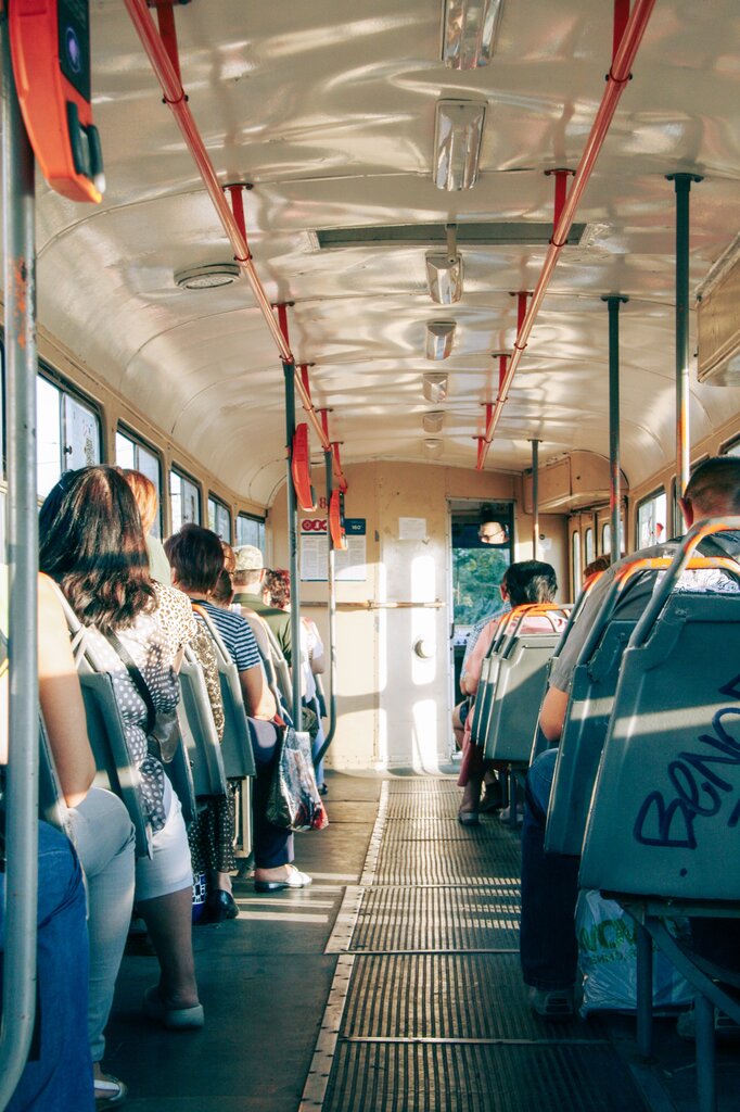 Una empresa ofrece servicio de transporte a las personas. ¿A qué sector pertenece? 