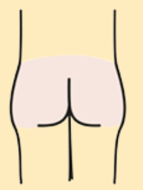 Gluteos