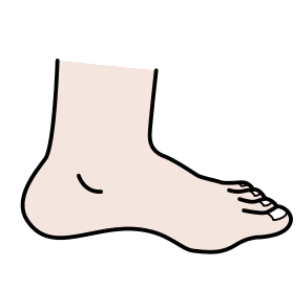 Pies