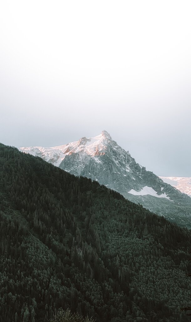 山顶 (shān dǐng) 的意思是？