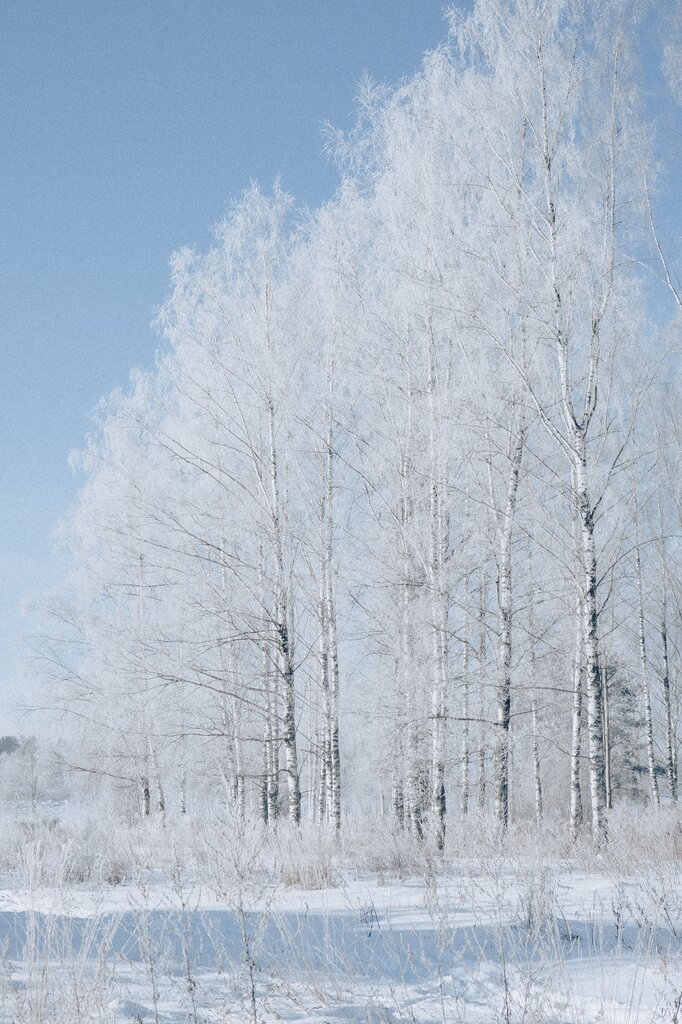 ¿Cuál de estas palabras se refiere al invierno?