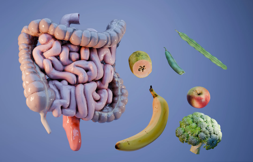 El sistema digestivo descompone los alimentos que consumimos en pedacitos para que nuestro cuerpo pueda aprovecharlos.