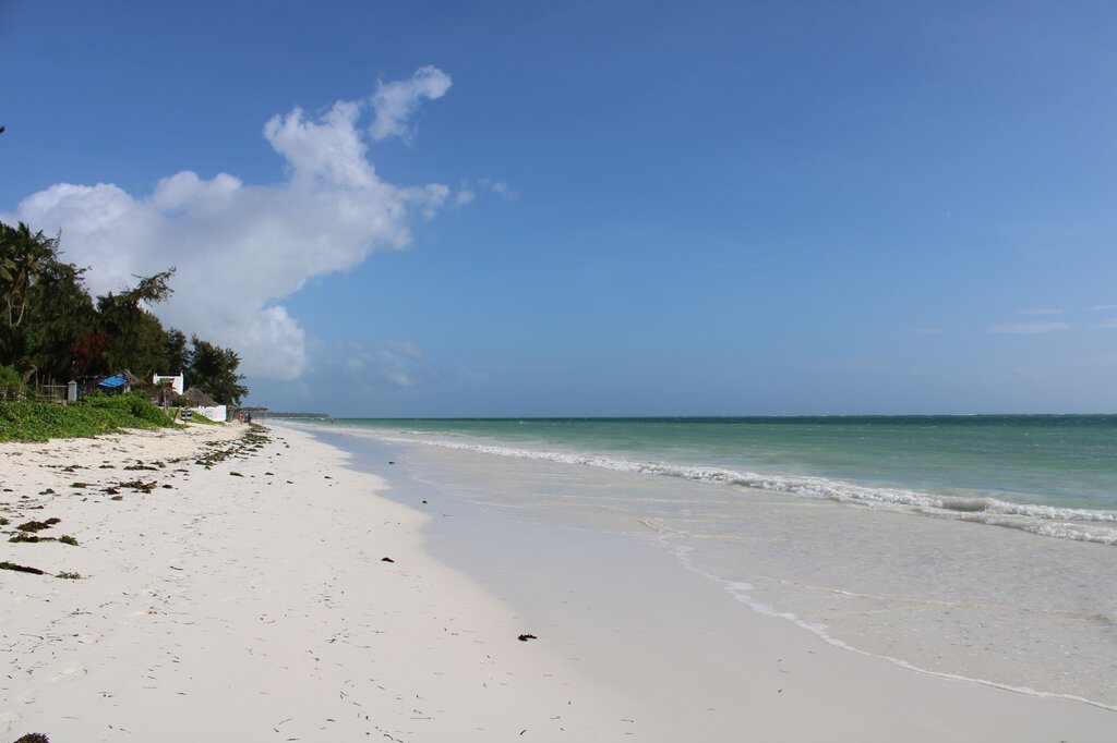 I go to the beach.