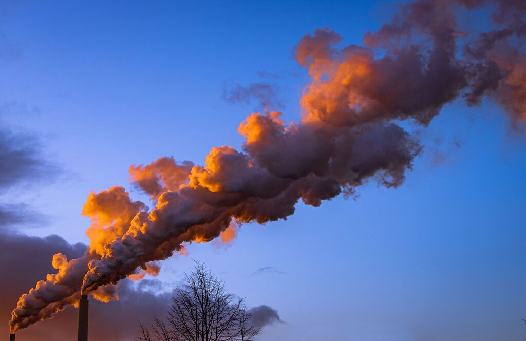 Carbon footprint (N)