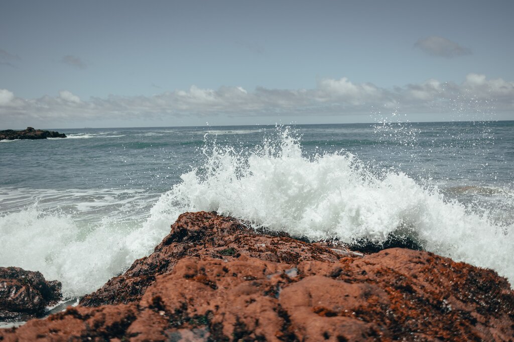 ¿Quién abrió el Mar Rojo por el poder de Dios?