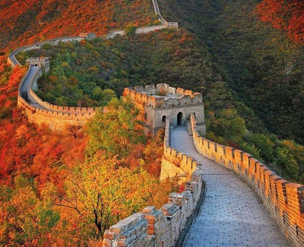 是什么？