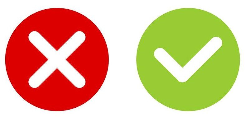 A single camellia flower