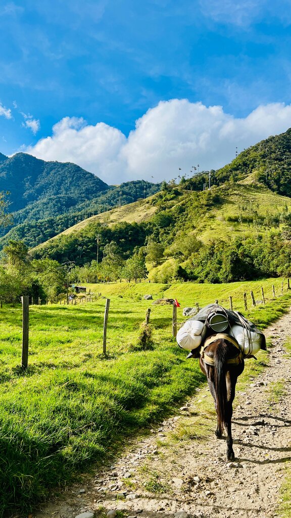 huila