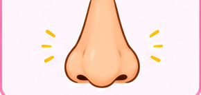 fungsi hidung untuk apa?