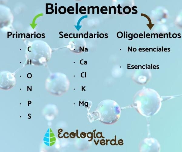 ¿Cuáles son bioelementos fundamentales de los seres vivos?