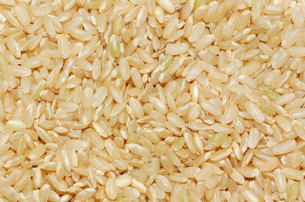 Rice is: