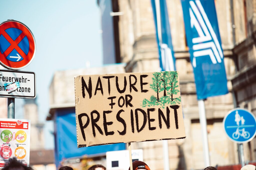 Cuáles son los tres fundamentos de los derechos de la naturaleza que se deben abordar en esta fase?