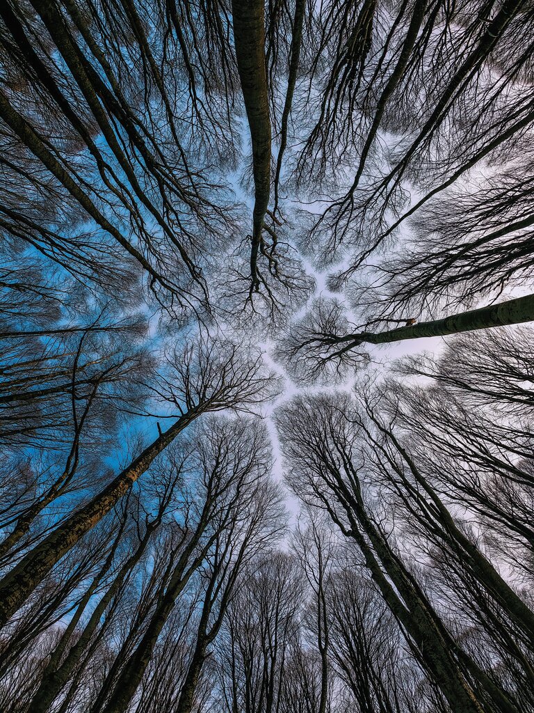 ¿Cuál de estos enfoques reconoce un valor propio de la naturaleza?