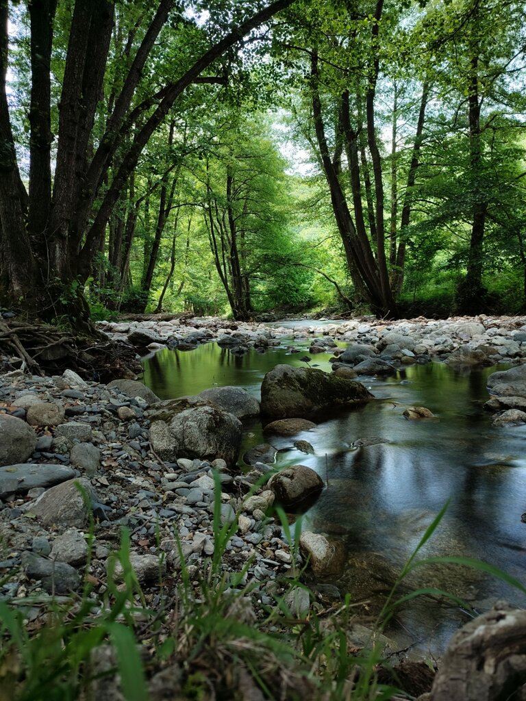 ¿Cuál es una característica importante de los derechos de la naturaleza?