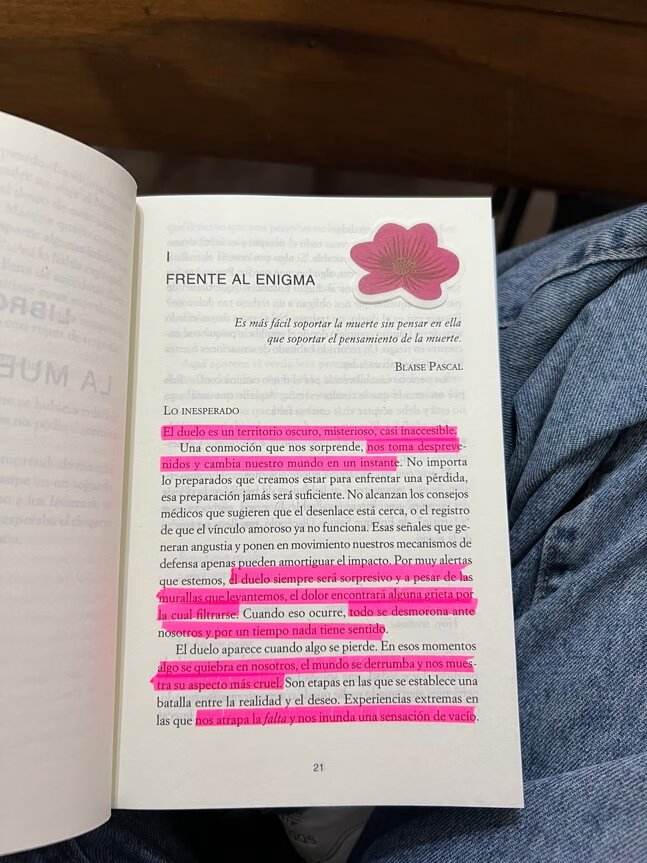 Lectora de Rolón...