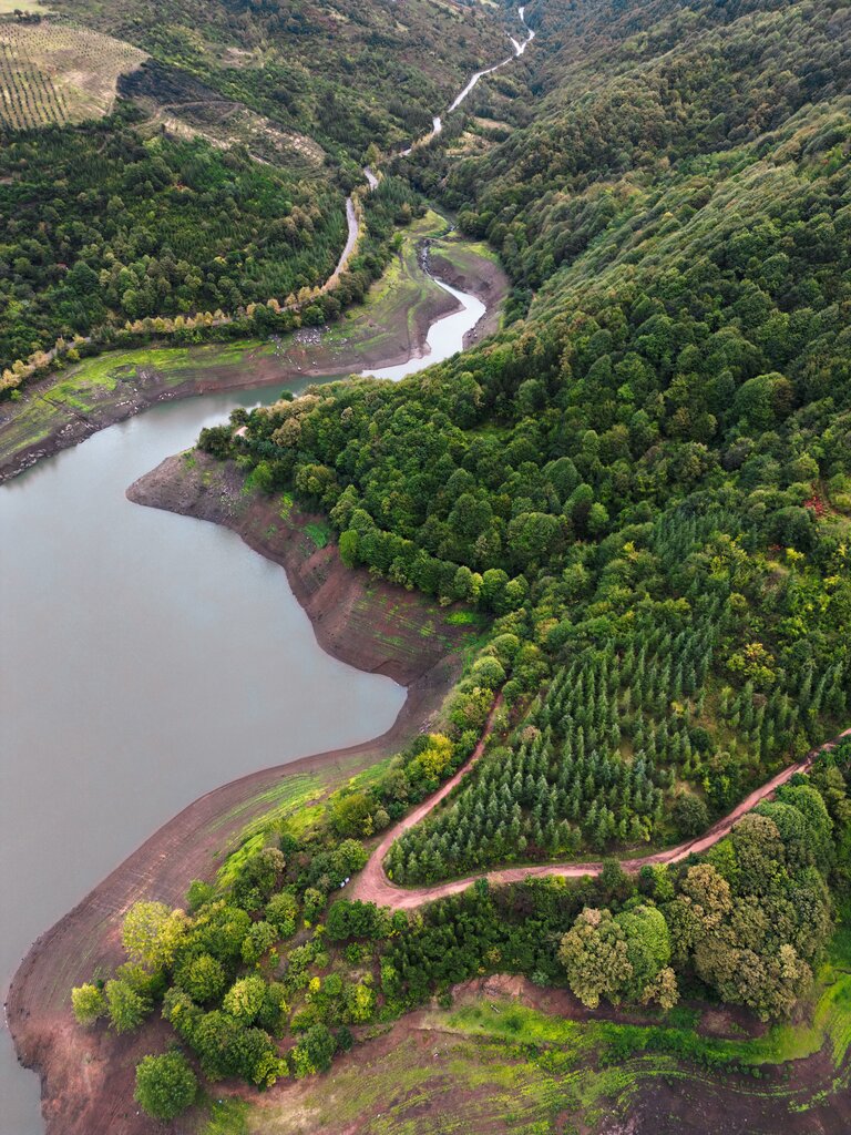 Que la naturaleza puede ser propiedad de cualquier persona