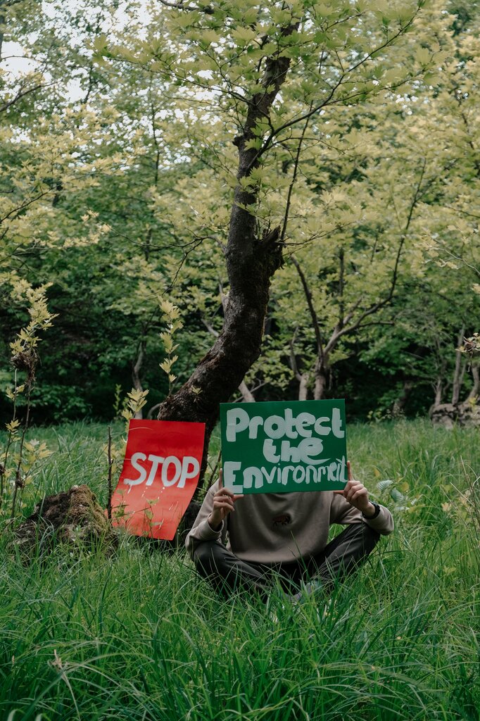 Que los recursos naturales no necesitan protección.