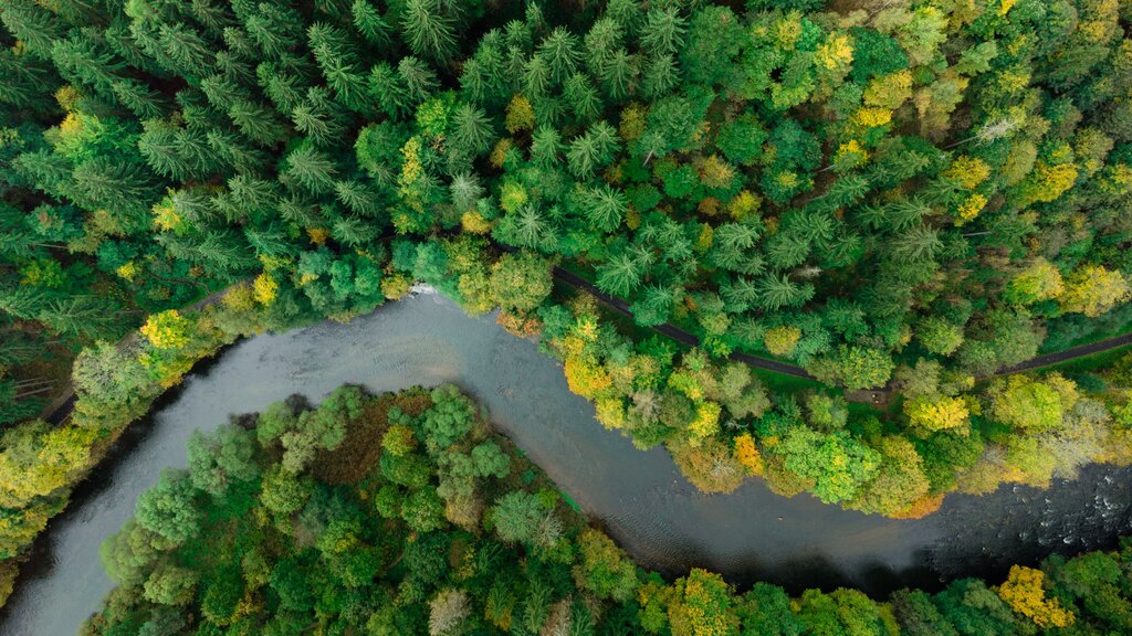 ¿Qué significa considerar a la naturaleza como sujeto de derechos?