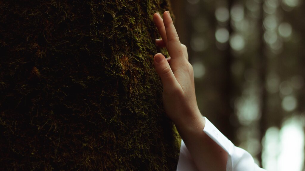 Una relación equilibrada y respetuosa entre las personas y la naturaleza.
