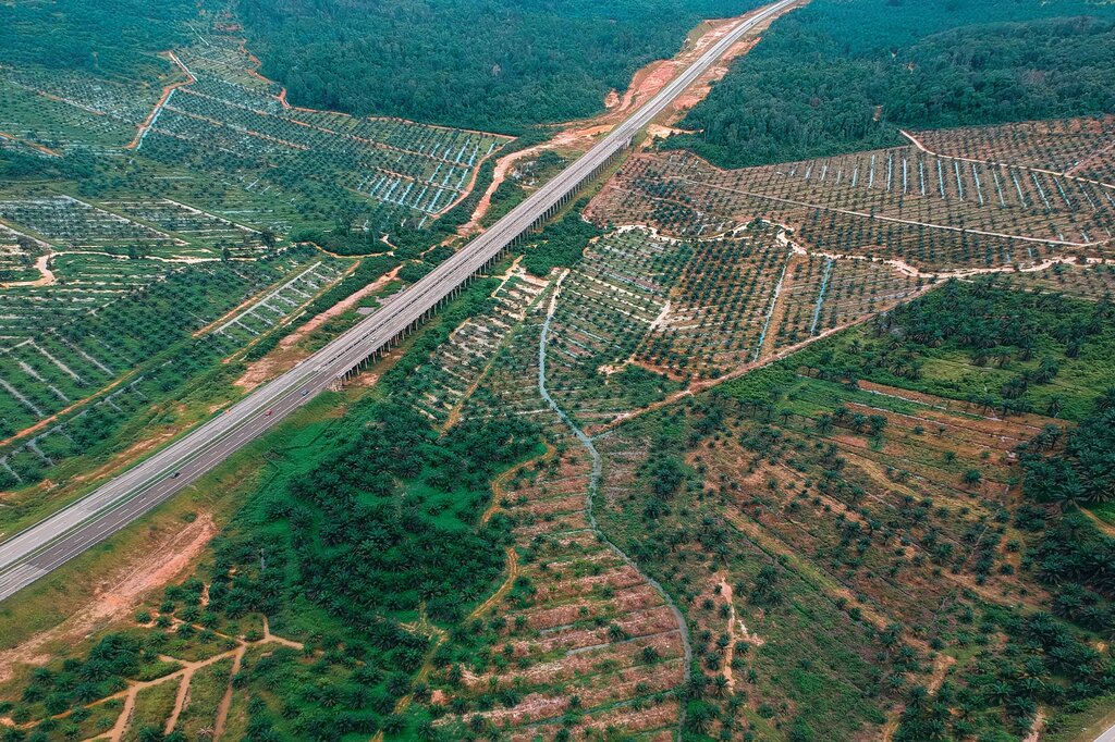 El conflicto entre la protección ambiental y algunas actividades económicas.