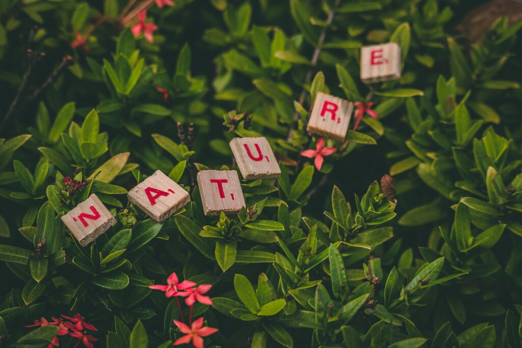 ¿Por qué son importantes los derechos de la naturaleza?