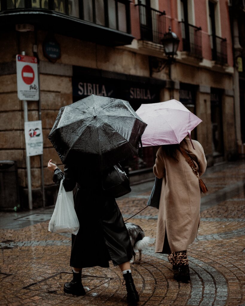 umbrella