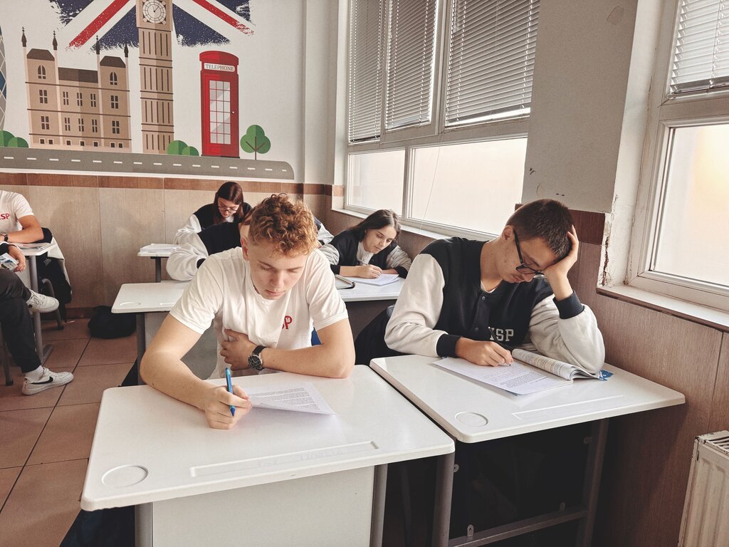 If only I ______ harder for the IELTS test!