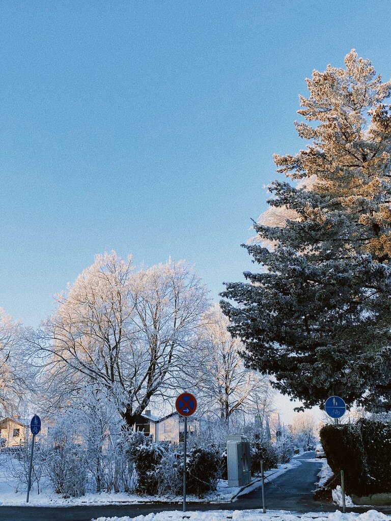 What season is this?