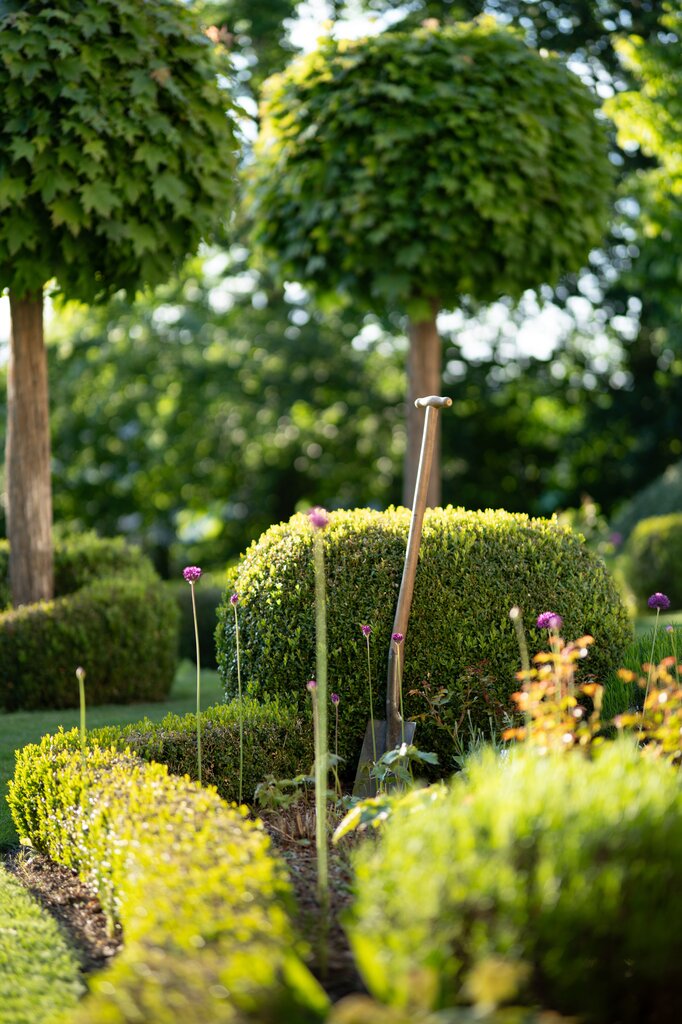 Are we in the garden?
