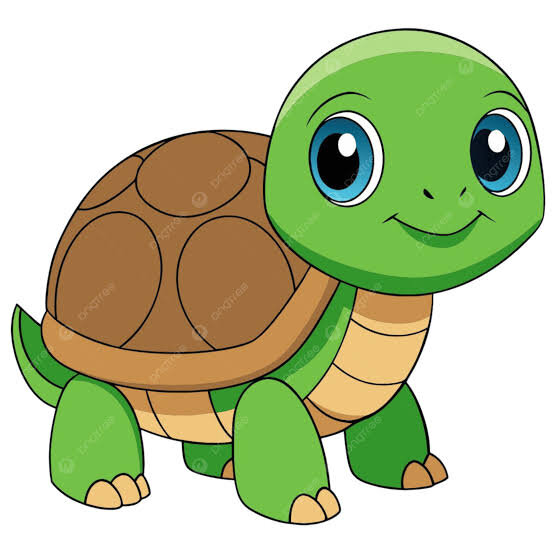 Tortuga