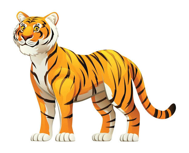 Tigre