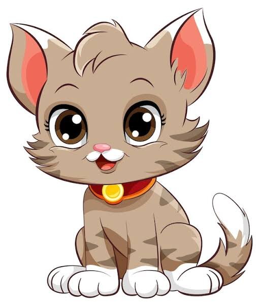 Gato