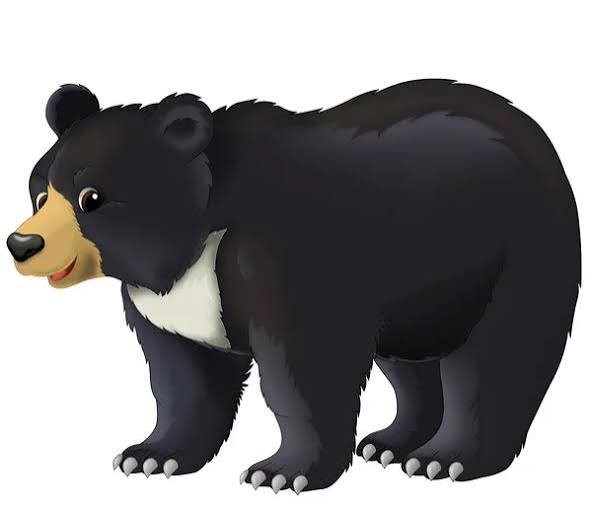 Oso