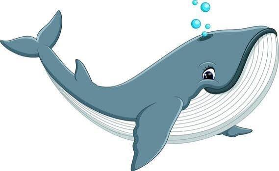 Ballena