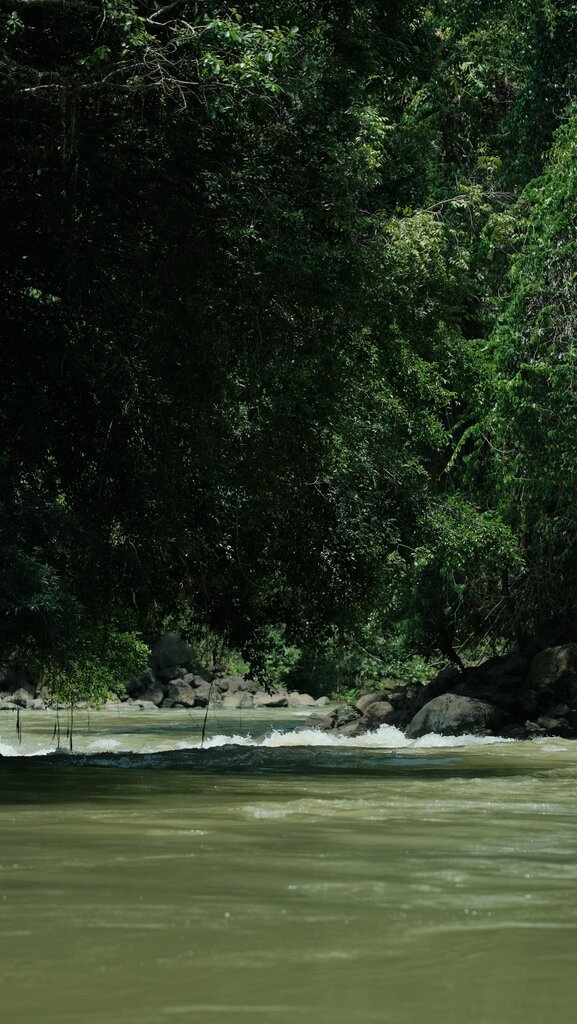 El recurso tiene derechos, la naturaleza no