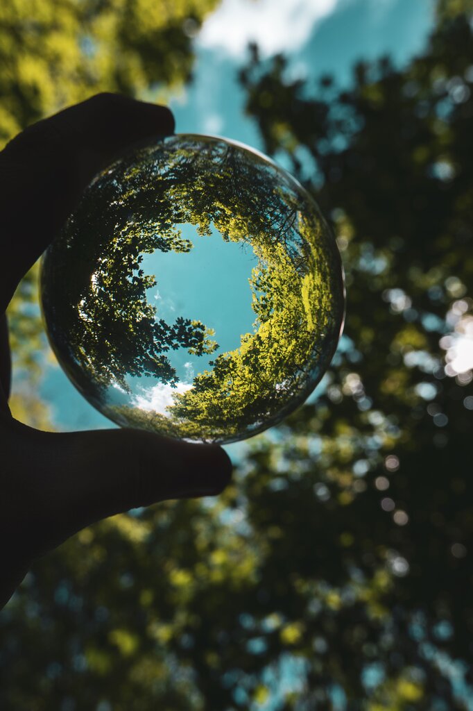 ¿Qué propone la ecología profunda como visión filosófica?