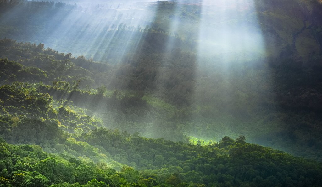 ¿Qué significa "valor intrínseco" de la naturaleza?