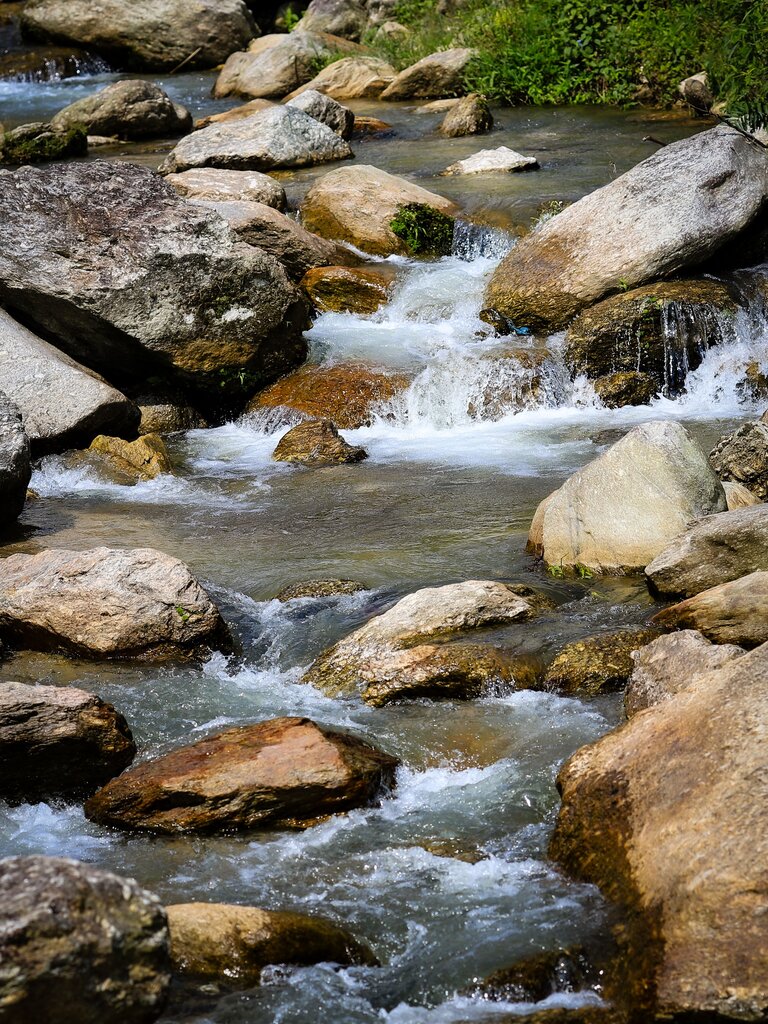 "El rio tiene derecho a fluir libremente"